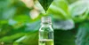 PURE CHEMICAL | Teebaumöl Ätherisch 100ml Produktbild-Vorschau 4
