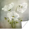 MuchoWow® Poster Blumen - Stillleben - Mohn - Weiß - Produktbild-Vorschau 1