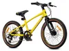 20-Zoll-Kinderfahrrad für Jungen und Mädchen, Mountainbike Produktbild-Vorschau 2