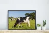 MuchoWow® MuchoWow® Gerahmtes Poster Kuh - Gras - Tiere - Produktbild-Vorschau 5