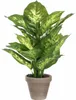Mica Decorations Dieffenbachia pianta artificiale in vaso Anteprima dell’immagine prodotto 1