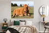 MuchoWow® Poster Kuh - Braun - Horn 160x120 cm - Foto Produktbild-Vorschau 5