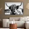 OneMillionCanvasses® - Plátno - Skotský horal - Příroda - Náhled obrázku produktu 5