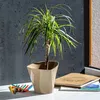 KADAX Blumentopf "Sisco", Dreieckig Übertopf, Pflanztopf Produktbild-Vorschau 10