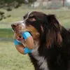 Osso di bambù Kong Corestrength Anteprima dell’immagine prodotto 4