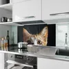 Küchenrückwand Spritzschutz Glas mit Motiv Katzenaugen 40 x Produktbild-Vorschau 2