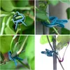 Pinces de fixation pour plantes, pinces de jardinage, 50 Voir les images du produit 9