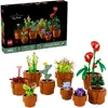 Miniaturn rostliny Náhled obrázku produktu 30
