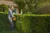 A woman is trimming a hedge with an electric hedge trimmer in a garden. Produktbild-Vorschau