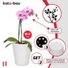 A marketing image showing a white ceramic pot with a pink orchid, along with various icons and text highlighting product features. Podgląd zdjęcia produktu