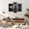 Bild auf Leinwand - Leinwandbild - Pferd Tier Natur - Produktbild-Vorschau 7
