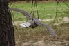 A fake bird of prey is hanging from a string, attached to a tree branch, in an outdoor setting. Náhled obrázku produktu