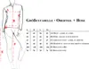 Damen Pyjama Schlafanzug 2-teilig mit Hose & Oberteil Five Produktbild-Vorschau 7