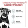 Royal Canin Maxi Puppy, Welpe, Groß (26-44 kg), Reis, Produktbild-Vorschau 3