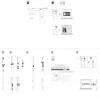 DELL PN557W, Desktop/Laptop, Dell, Czarny, - Latitude 5285 Podgląd zdjęcia produktu 5