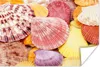 MuchoWow® Poster Muscheln - Rot - Gelb - Strand - Sommer Produktbild-Vorschau 1