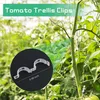 A close-up of tomato trellis clips attached to a tomato plant stem, with a circular inset showing a single clip and its dimensions. Produktbild-Vorschau