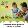 LEGO DUPLO Clasificador de formas casa para cachorros 10441 Vista previa de la imagen del producto 20