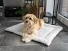 A dog is lying on a pet bed in a room with a modern interior. Voir les images du produit