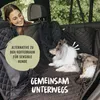 RUDELKÖNIG Sicherheitsgurt Hund – Verstellbarer Hundegurt Produktbild-Vorschau 5