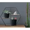 A hexagonal shelf with plants and decorative stones. Podgląd zdjęcia produktu
