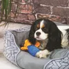 Akinu Plyšová hračka pre šteňatá pískacia 19 cm Náhľad obrázku produktu 2