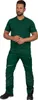 Leibwächter T-Shirt Flex-Line FLEXT01 Gr. 3XL grün Produktbild-Vorschau 5