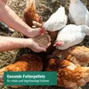 Agrarzone Legehennenfutter Premium Pellets 25 kg Produktbild-Vorschau 2