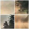 Gerahmtes Poster - Rahmen in heller Eiche - Nebel See Wald Produktbild-Vorschau 9