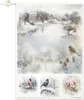 Reispapier-Set A4 für Decoupage – RP081 – Botanical Garden Produktbild-Vorschau 6