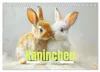 Kaninchen - Liebenswerte Fellbällchen (Tischkalender 2027 Produktbild-Vorschau 1