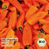 Samenliebe  Paprika Samen | Lady Lou - orange & süß & klein Produktbild-Vorschau 4