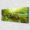 Tulup Leinwand-Bilder 125x50 Wandbild Canvas Kunstdruck See Produktbild-Vorschau 2