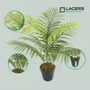 Lacers SMARAGDLINE Künstliche Phoenix Palme – Dattelpalme Produktbild-Vorschau 1