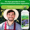Purgrün Agapanthus Dünger | Flüssigdünger für Blütenpracht Produktbild-Vorschau 2