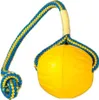 Starmark Swing 'N Fling Durafoam Fetch Ball na sznurku Podgląd zdjęcia produktu 1