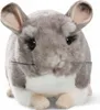 A plush toy chinchilla is shown from the front against a white background. Produktbild-Vorschau