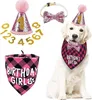 Bandana Hunde Zubehör Set Hund Geburtstag Bandana Set Produktbild-Vorschau 2