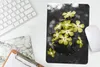 MuchoWow® Mauspad Mousepad Blumen - Gelb - Farben 18x27 cm Produktbild-Vorschau 5