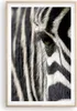 Gerahmtes Poster - Rahmen in heller Eiche - Zebra Streifen Produktbild-Vorschau 1