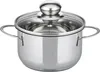 A stainless steel pot with a glass lid and a metal handle, isolated on a white background. Náhled obrázku produktu