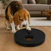 Hundespielzeug mit Krallenfeile Beagle sucht Leckerlis im Wohnzimmer Produktbild-Vorschau