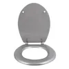 A silver toilet seat and lid are shown open against a white background. Produktbild-Vorschau