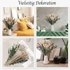 100% Natürliche Trockenblumen,Pampasgras Trockenblumen Produktbild-Vorschau 5