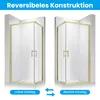 SONNI 70 x 90 x 195, box doccia in oro spazzolato, porta Anteprima dell’immagine prodotto 3