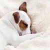 Beautissu Sherpa Decke Wohndecke Kuscheldecke Beige/Weiß Produktbild-Vorschau 5