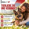 REAVET Teufelskralle Gelenk-Pulver 250g für Hunde & Katzen Produktbild-Vorschau 7