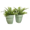 Blumenkasten zum Hängen Elho Vibia Campana flower twin Produktbild-Vorschau 2