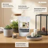 ALPERRA Dekosplitt 2-5 mm 4 kg Zierkies für Vase Garten & Produktbild-Vorschau 2