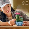 Conférence sur les plantes médicinales n° 6 Voir les images du produit 25